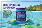 Blue Skies Sea Moss Gel with Blue Spirulina Ad