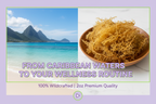 Caribbean Waters Ad
