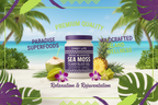 Island Bliss Sea Moss Gel Ad