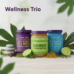 Wellness Trio Bundle